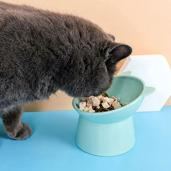 gamelle-chat-surelevee-vert