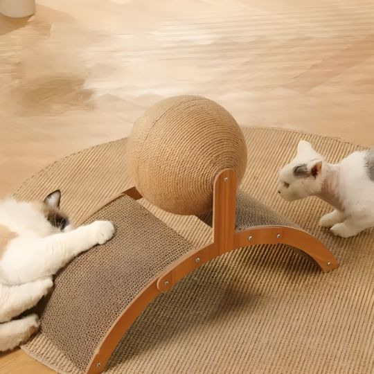 station-griffoir-chat-premium