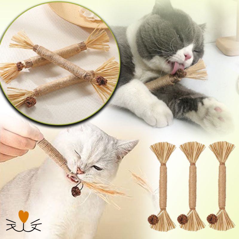 brosse a dent pour chat