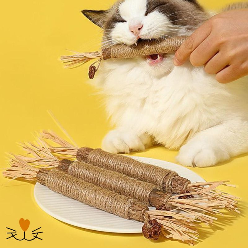 Brosse_a_dent_pour_chat_jouet