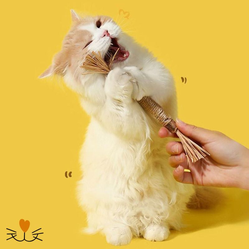 Brosse_a_dent_pour_chat_naturelle