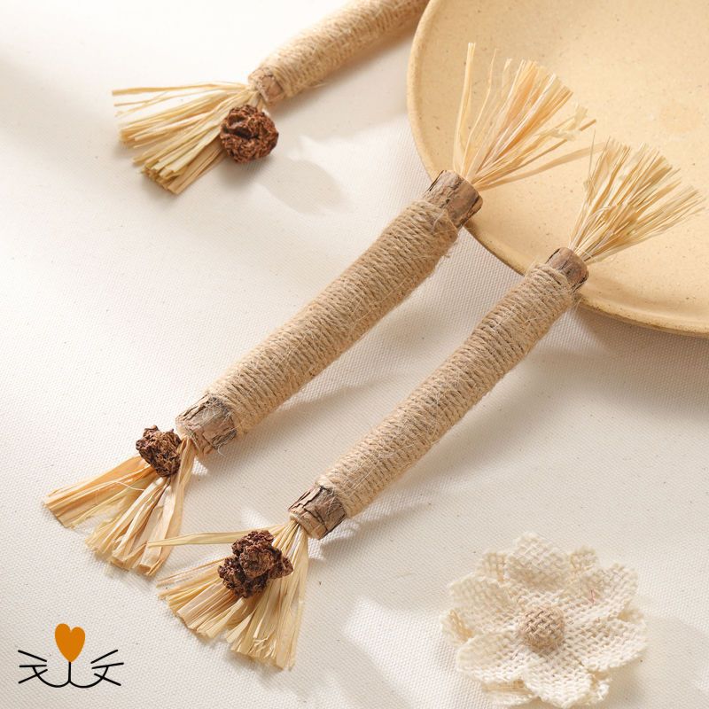 brosse a dent pour chat pratique