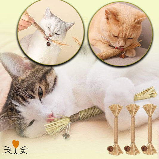 brosse a dent pour chat 