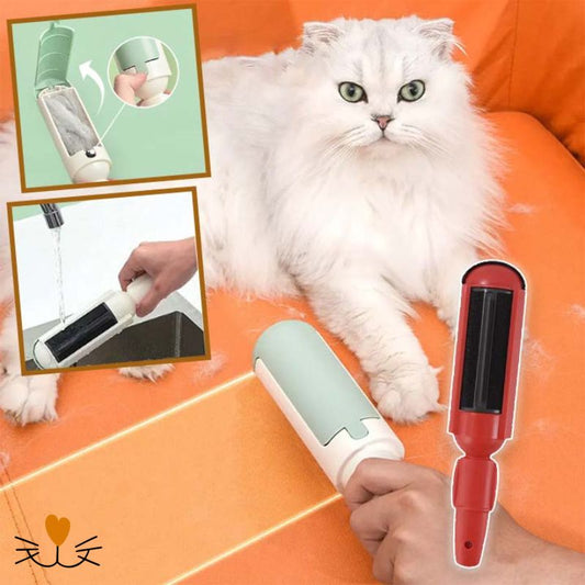 brosse anti poil