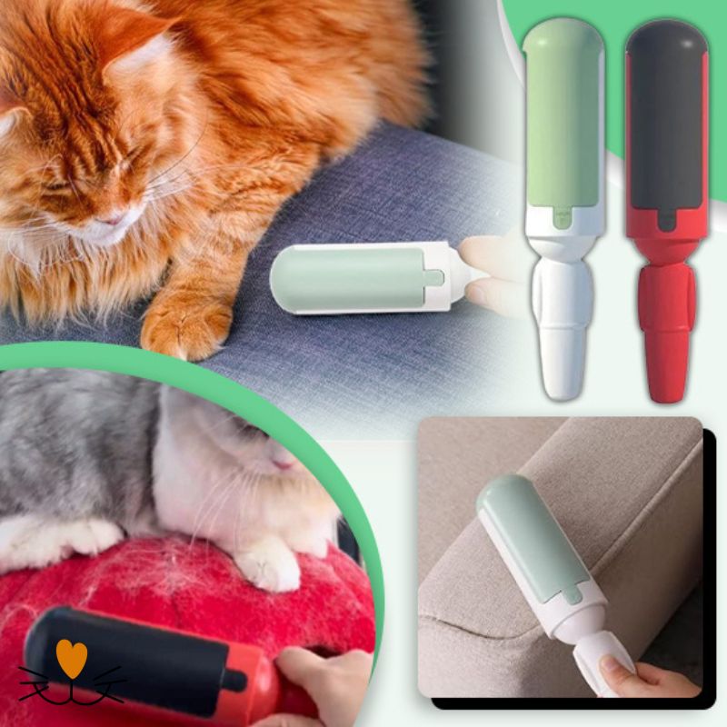 brosse anti poil 