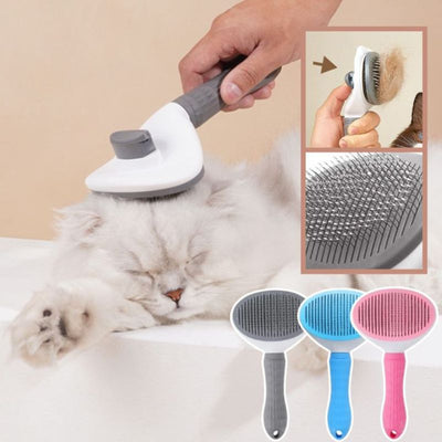 Brosse pour chat