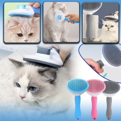Brosse pour chat