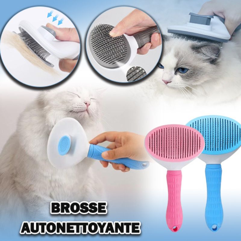 Brosse pour chat