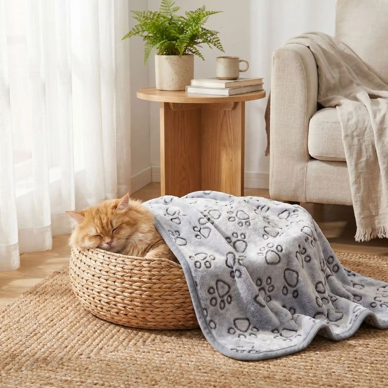 Couverture Chat Moelleuse