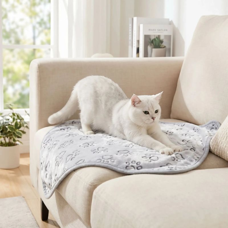Couverture Chat Moelleuse