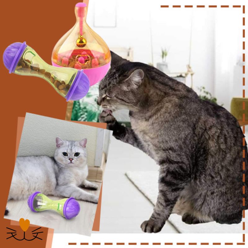 Distributeur de croquettes pour chat toupie