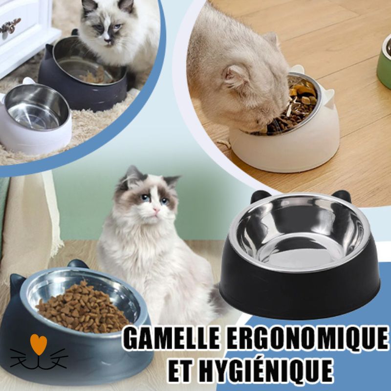 gamelle chat ergonomique