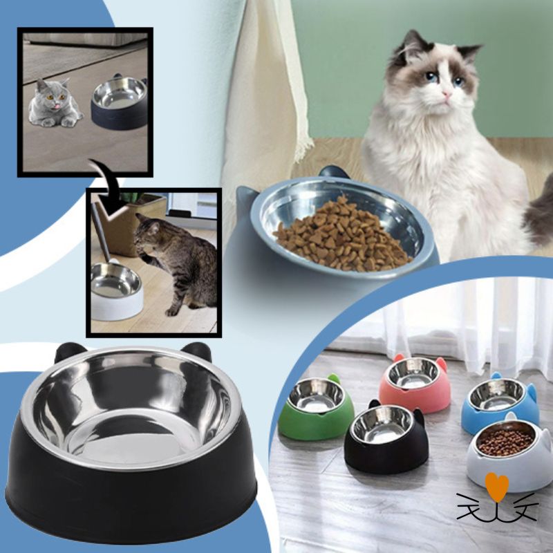 gamelle chat inclinée