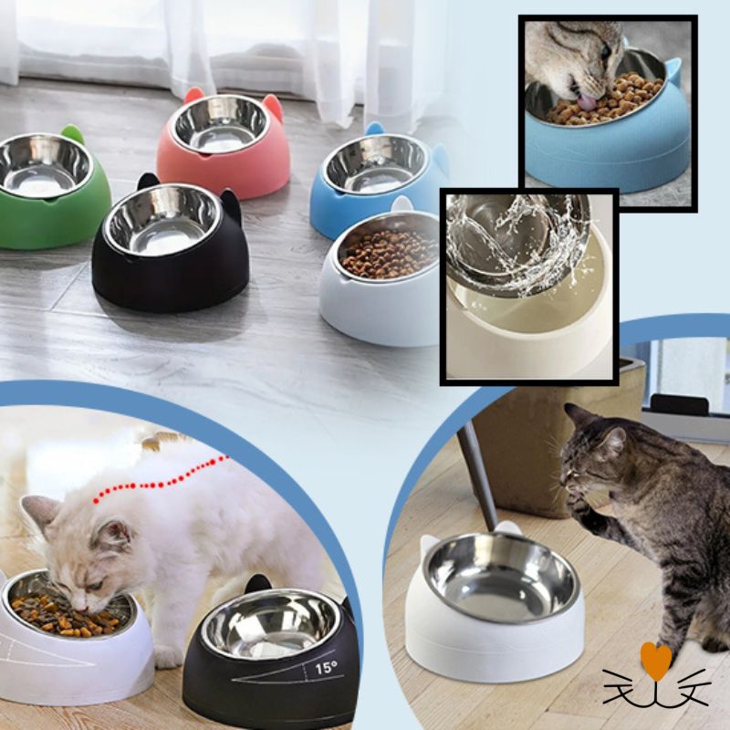 gamelle chat couleur