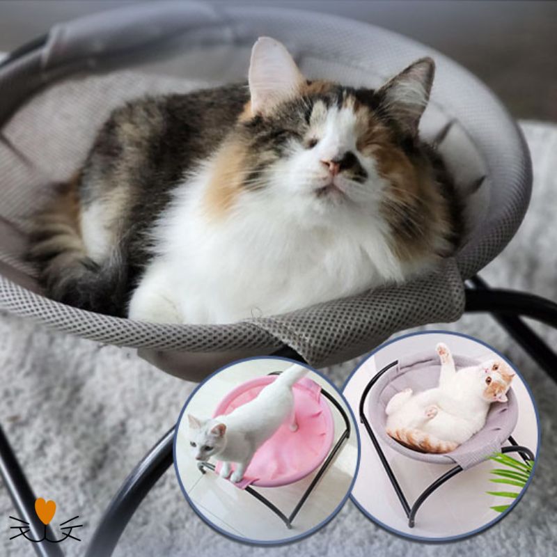 hamac pour chat lit