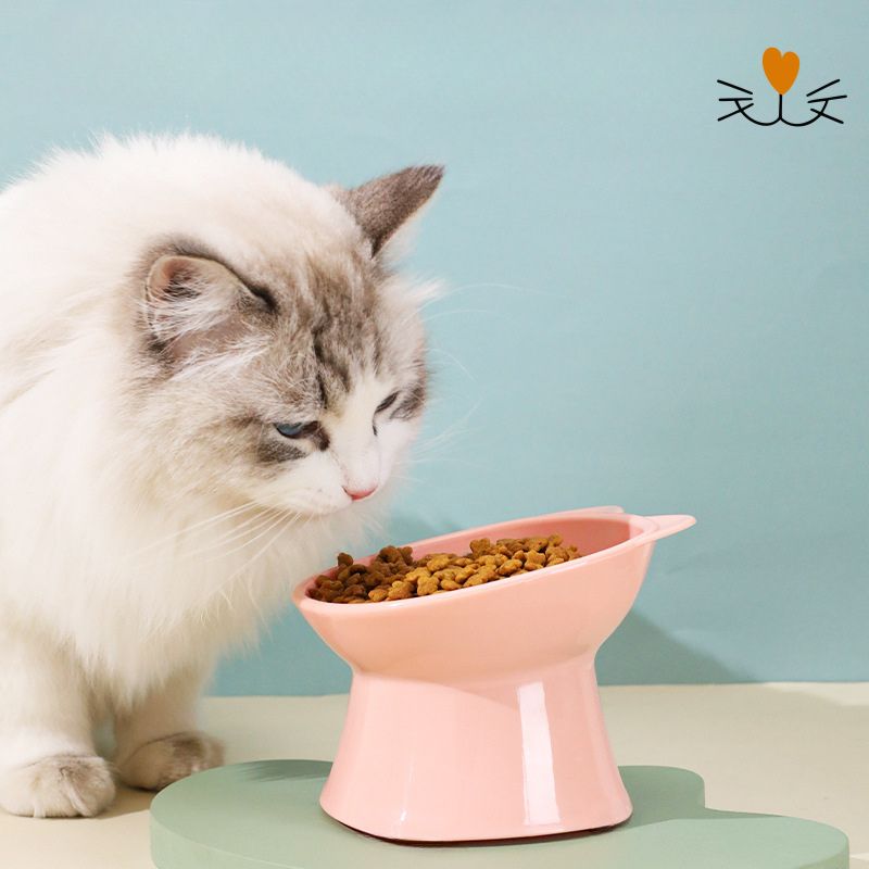 gamelle chat rose