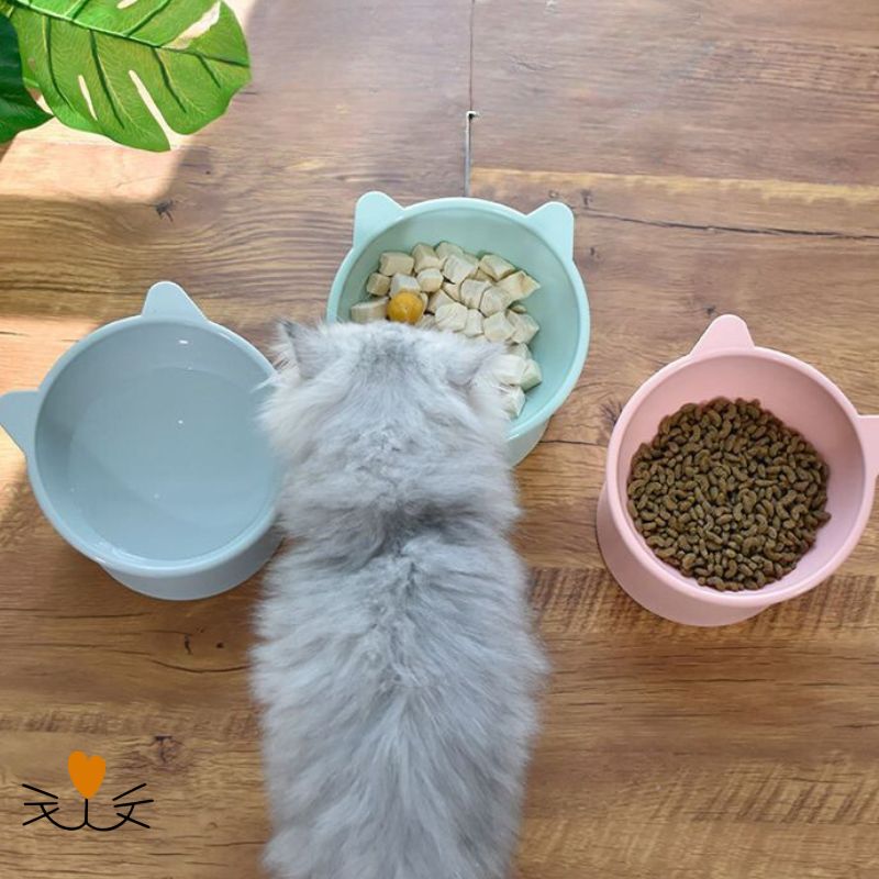 gamelle chat ergonomique