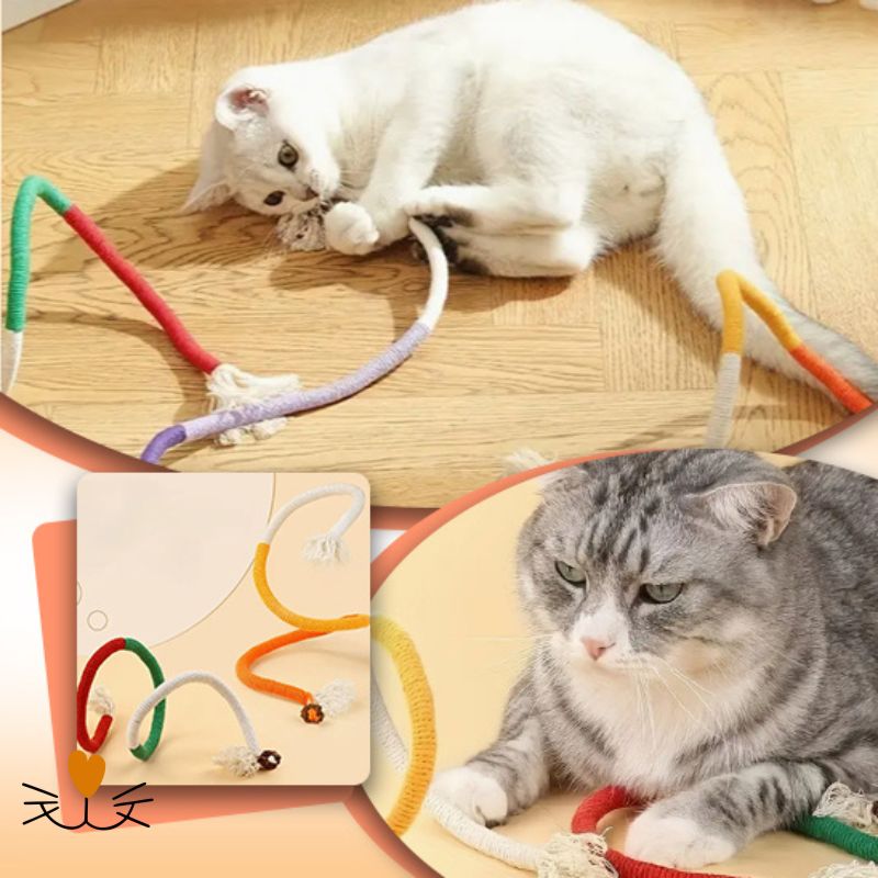 Jouet pour chat 