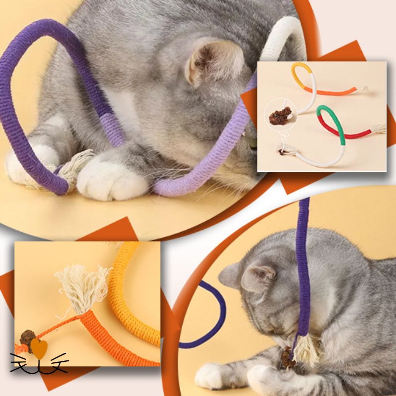 Jouet pour chat