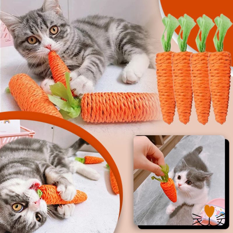 Jouet pour chat
