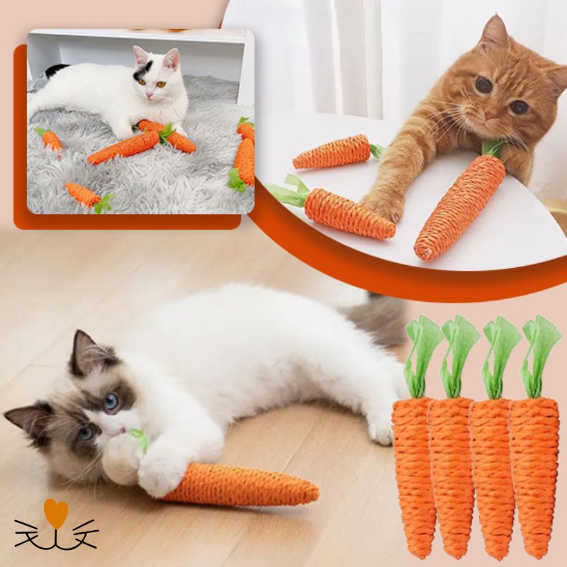Jouet pour chat