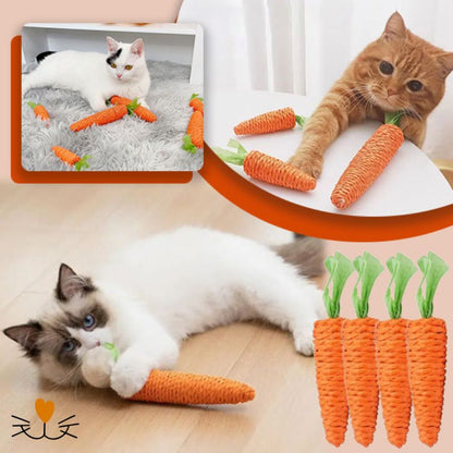 Jouet pour chat