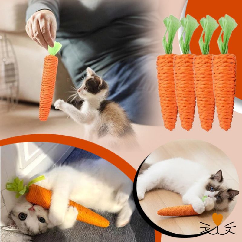 Jouet pour chat