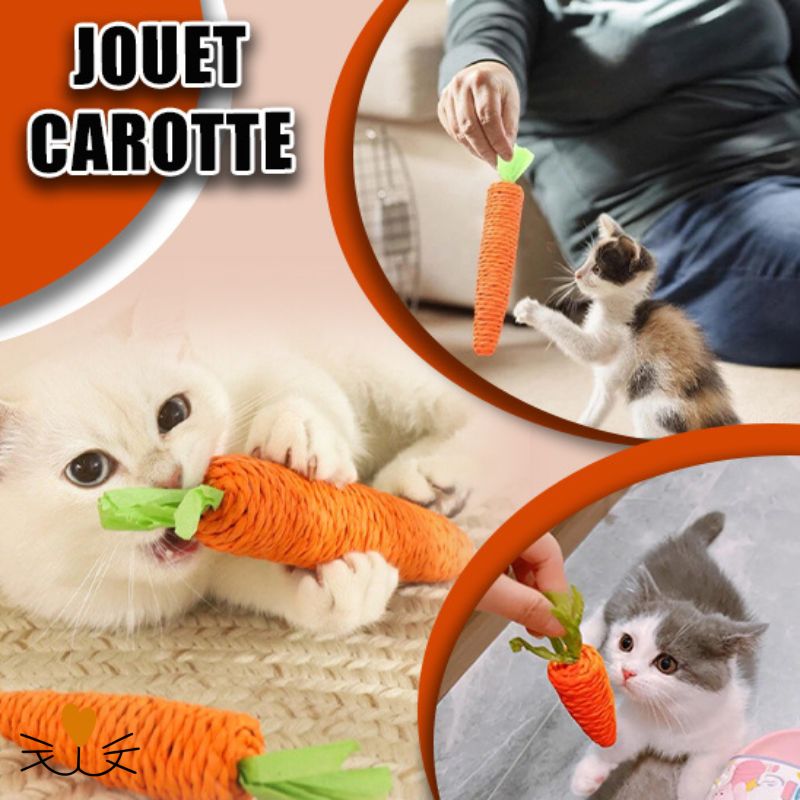 Jouet pour chat
