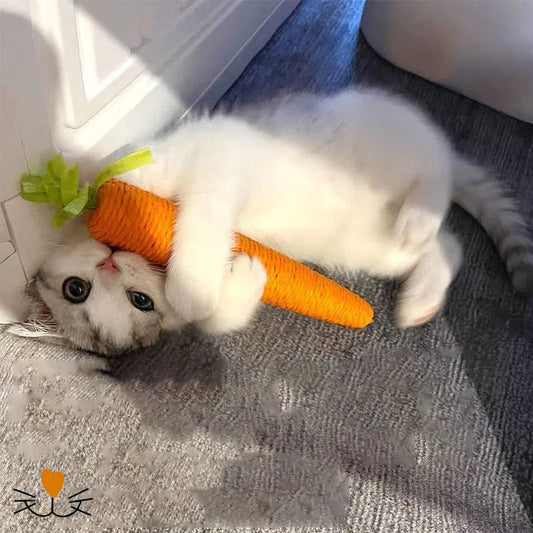 Jouet pour chat