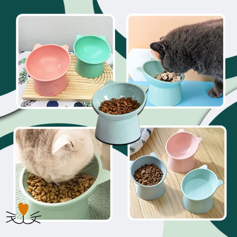 gamelle chat surélevée couleur
