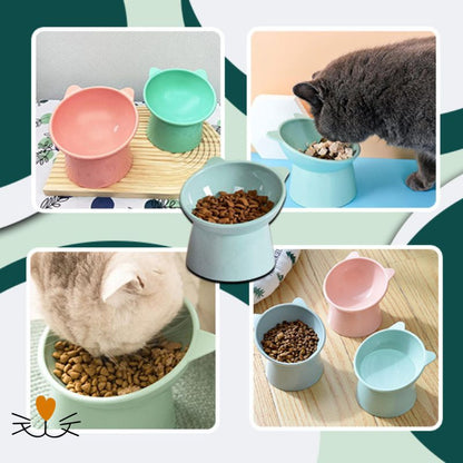 gamelle chat surélevée couleur