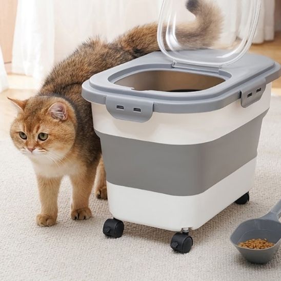 boite-a-croquette-chat