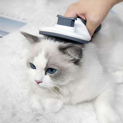 brosse-pour-chat-pratique