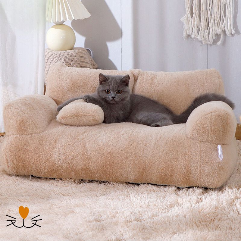 Canapé pour chat chaton