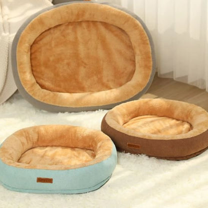 coussin-chat-coloris