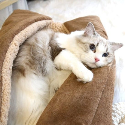 coussin-chat-moelleux