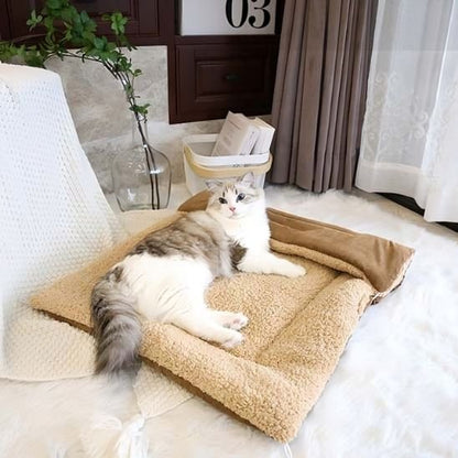 coussin-chat-couverture