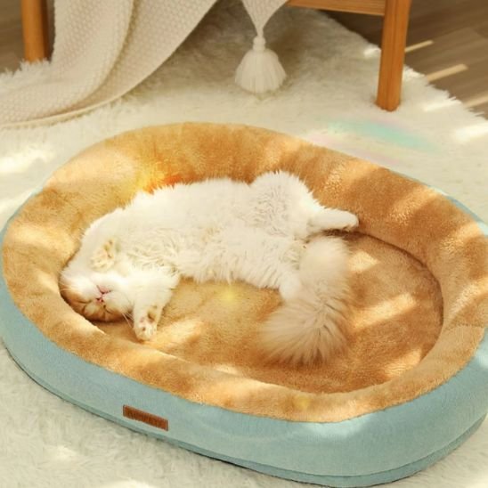 coussin-chat-moelleux
