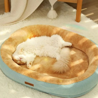 coussin-chat-moelleux