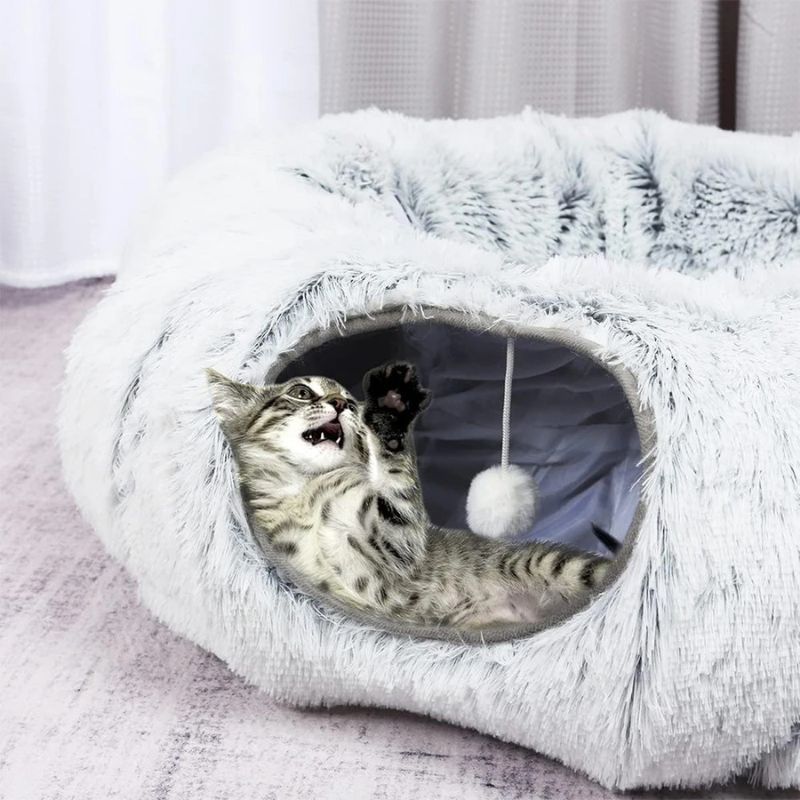 coussin-chat-tunnel-stimulant