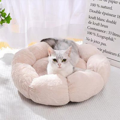 coussin-pour-chat-fleur-beige