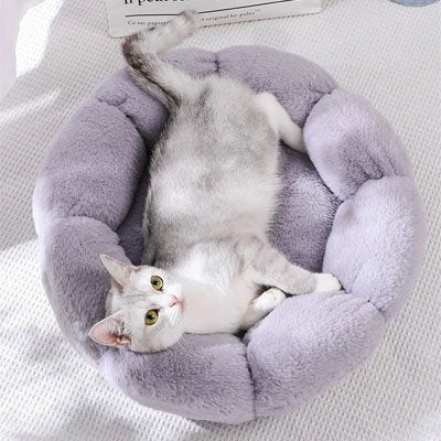 coussin-pour-chat-fleur-gris