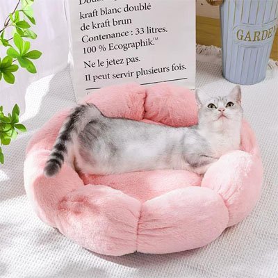 coussin-pour-chat-fleur-rose