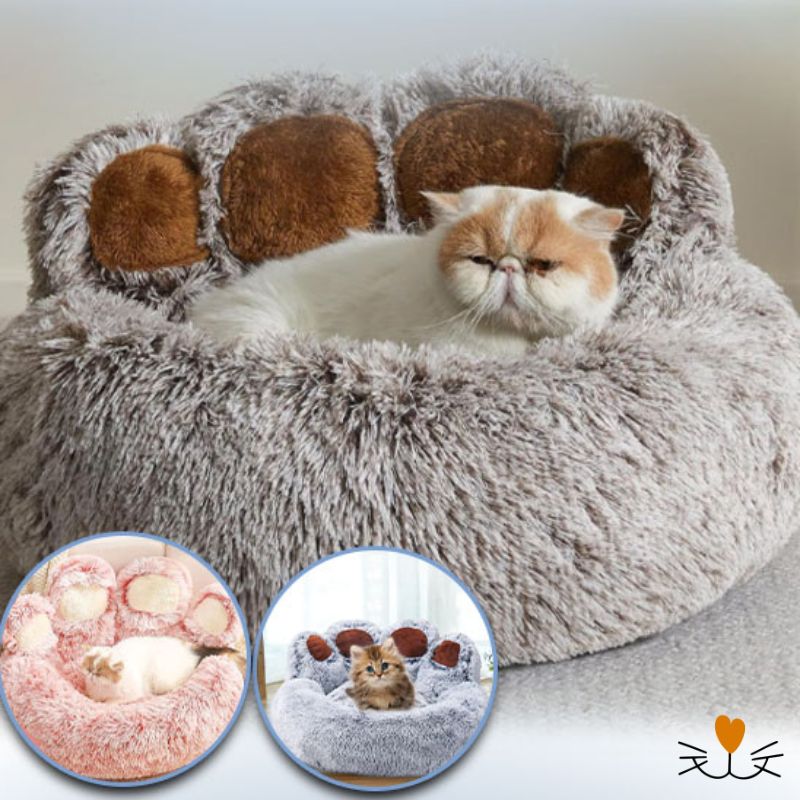 coussin chat marron