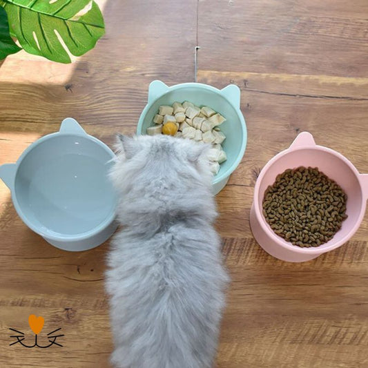 gamelle chat ergonomique