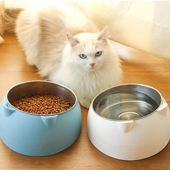 gamelle-chat-inclinee-1