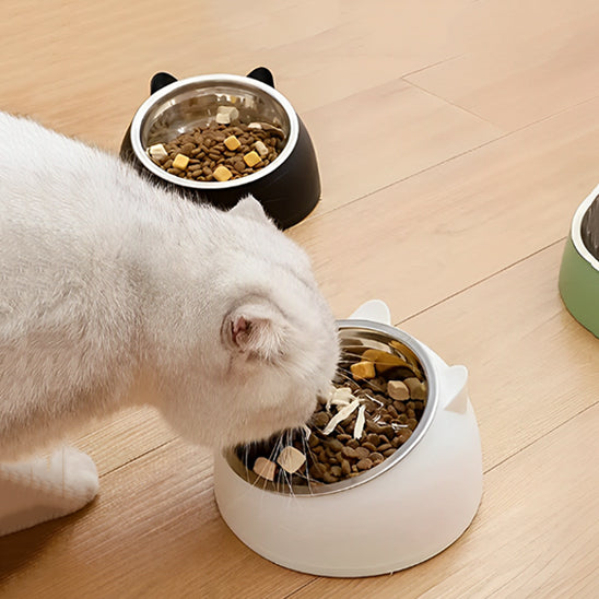 gamelle-chat-inclinee-repas-1