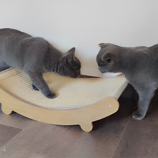 Griffoir chat incurve spacieux