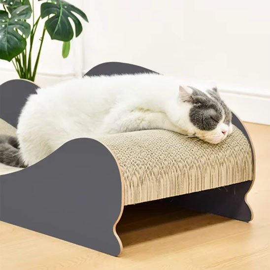Griffoir Chat spacieux