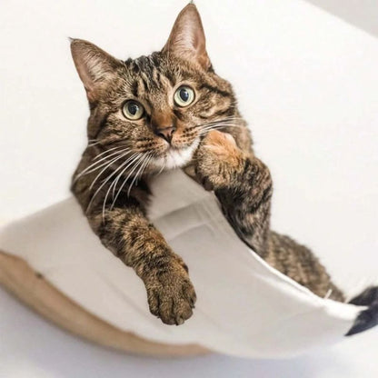 hamac-pour-chat-mural-hauteur